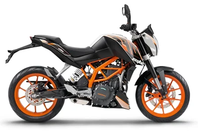 390 Duke (12-16)