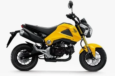 Honda Grom MSX125 2013-2015