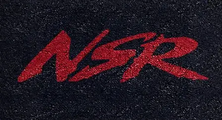 Technical Questions 2 nsr logo