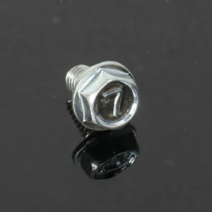 Bolt, Flange 6x10, Kawasaki