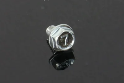 Bolt, Flange 6x10, Kawasaki