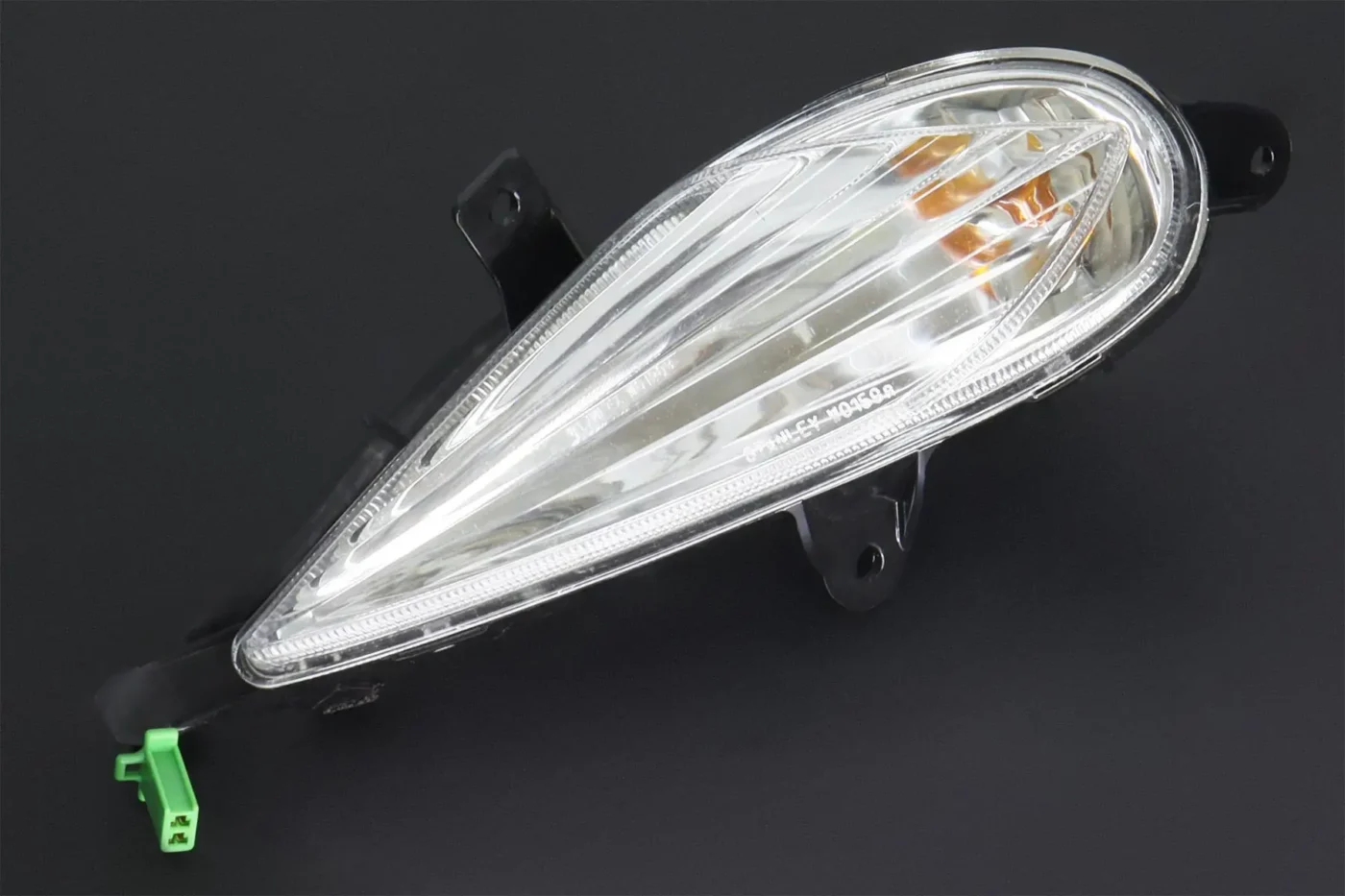 Rear Flasher Light Assy2