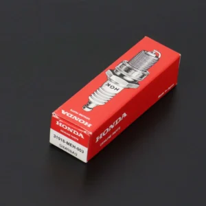 Spark Plug