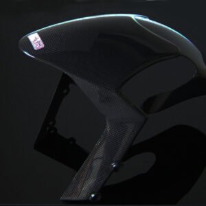 Front Fender, Carbon, Ducati Monster