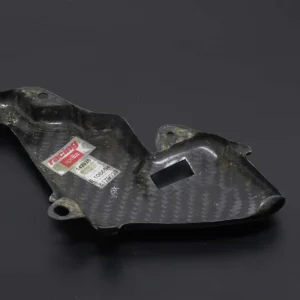 Carbon Engine Cover, Aprilia RSV Tuono