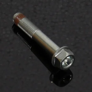 Brake Caliper Bolt, CB150R/CB300R