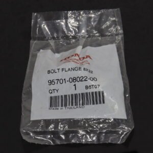 Bolt, Flange 8x22