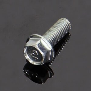 Bolt, Flange 8x22