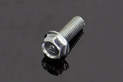 Bolt, Flange 8x22