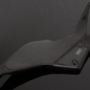 Tank In-Fill Panels Pair, Carbon, Kawasaki Ninja 250R