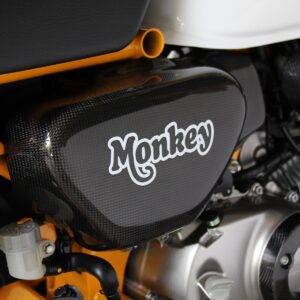 Side Cover, Carbon, Pair, Monkey 125 (2018-2024)