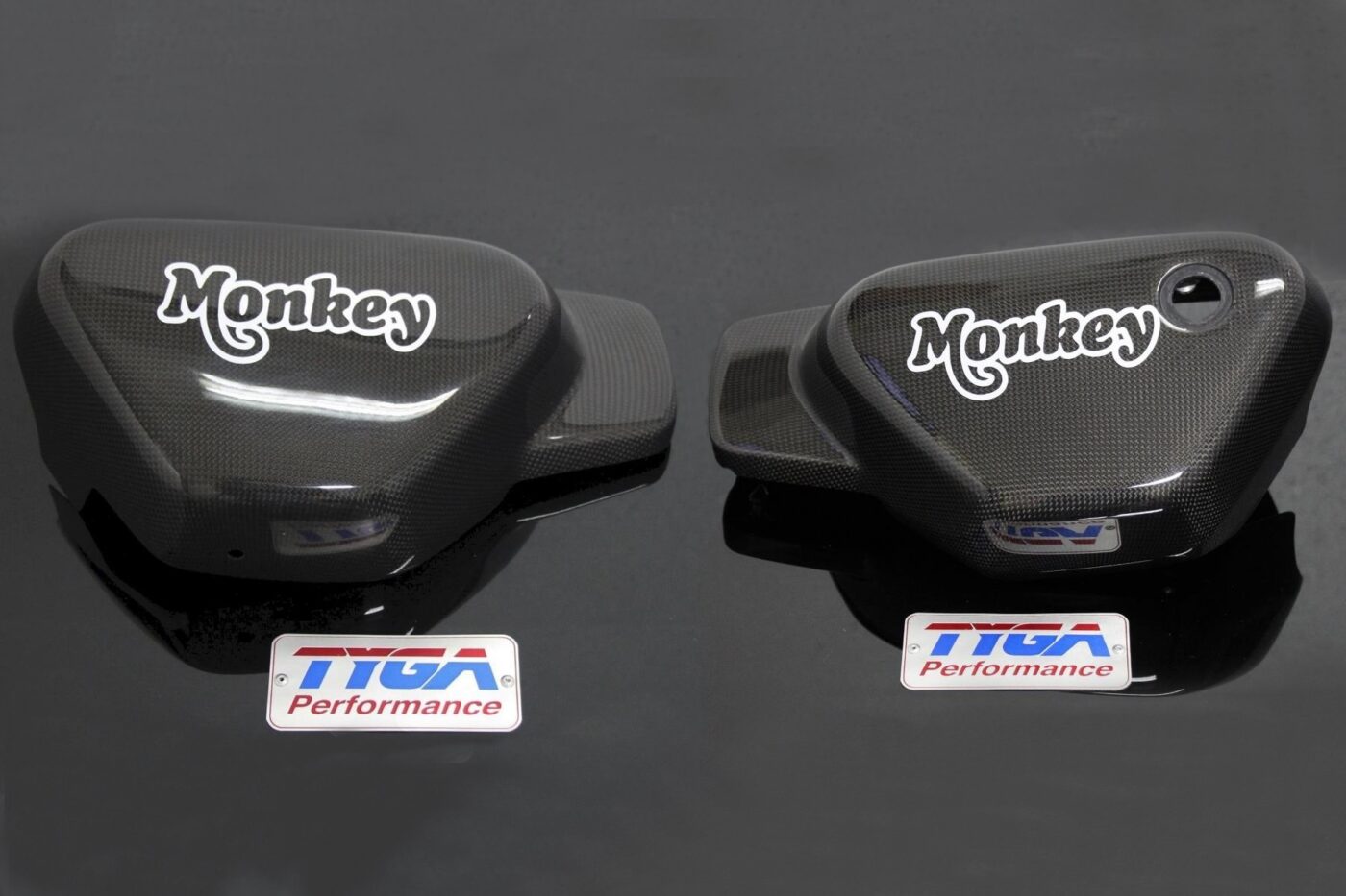Side Cover, Carbon, Pair, Monkey 125 (2018-2024)