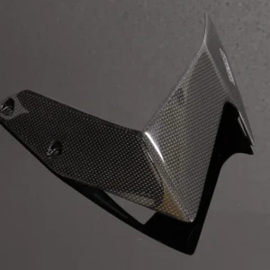 Side Cover, (Winglet) Carbon, Right, Aprilia RS-125 (2007-2012)