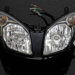 Tyga Eyes II headlight/turnsignal assembly