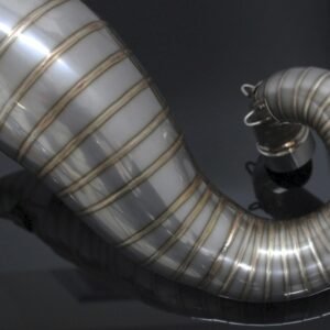 Set, Exhaust Chamber, Side By Side Type, Stainless Steel, NSR250 MC18
