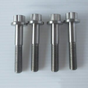 Titanium Fasteners to suit Honda (Nissin Brake Calipers) 4 pcs