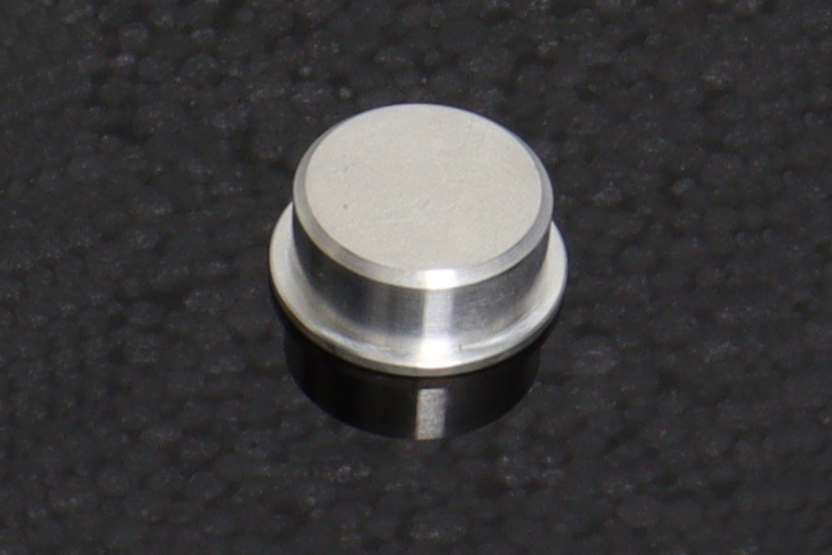 GPS Blank Plug