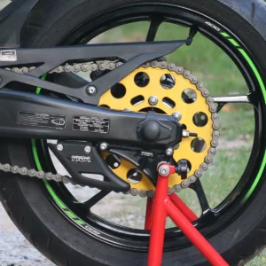 Shark Fin, Ninja ZX-4R(R)