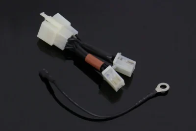 Harness Extension, Switch Assembly, Winker, RC36-2, RC30 Style