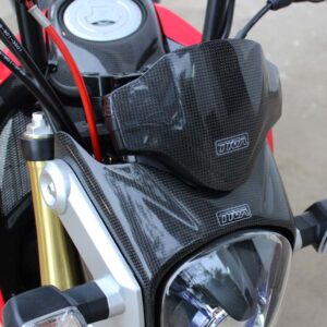 Fly Screen, Carbon, MSX125 Grom