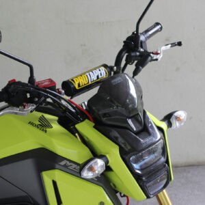 Fly Screen, Carbon, MSX125SF Grom
