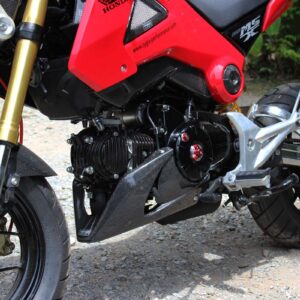 Under Cowl, Carbon, MSX125 Grom