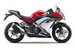 Kawasaki Ninja 300R 2013-17